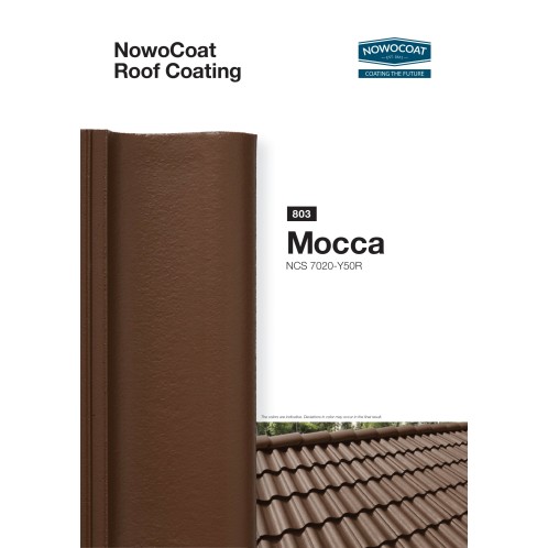 Farba do dachów dachówki NOWOCOAT...