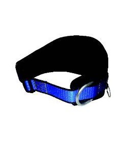 Pas do pracy w podparciu TOP-2