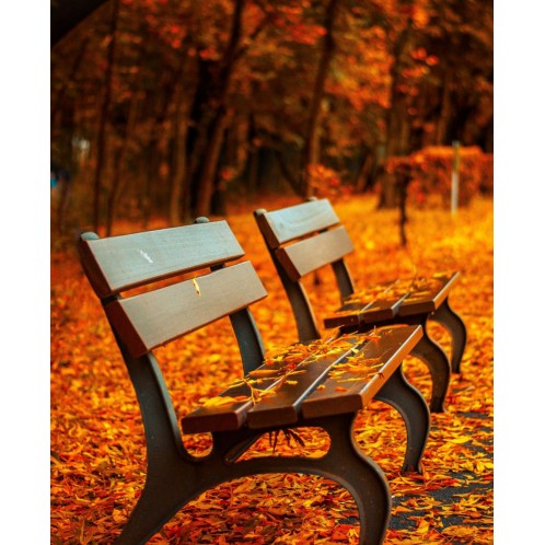 Szybkoschnąca emalia alkidowa RAPID...